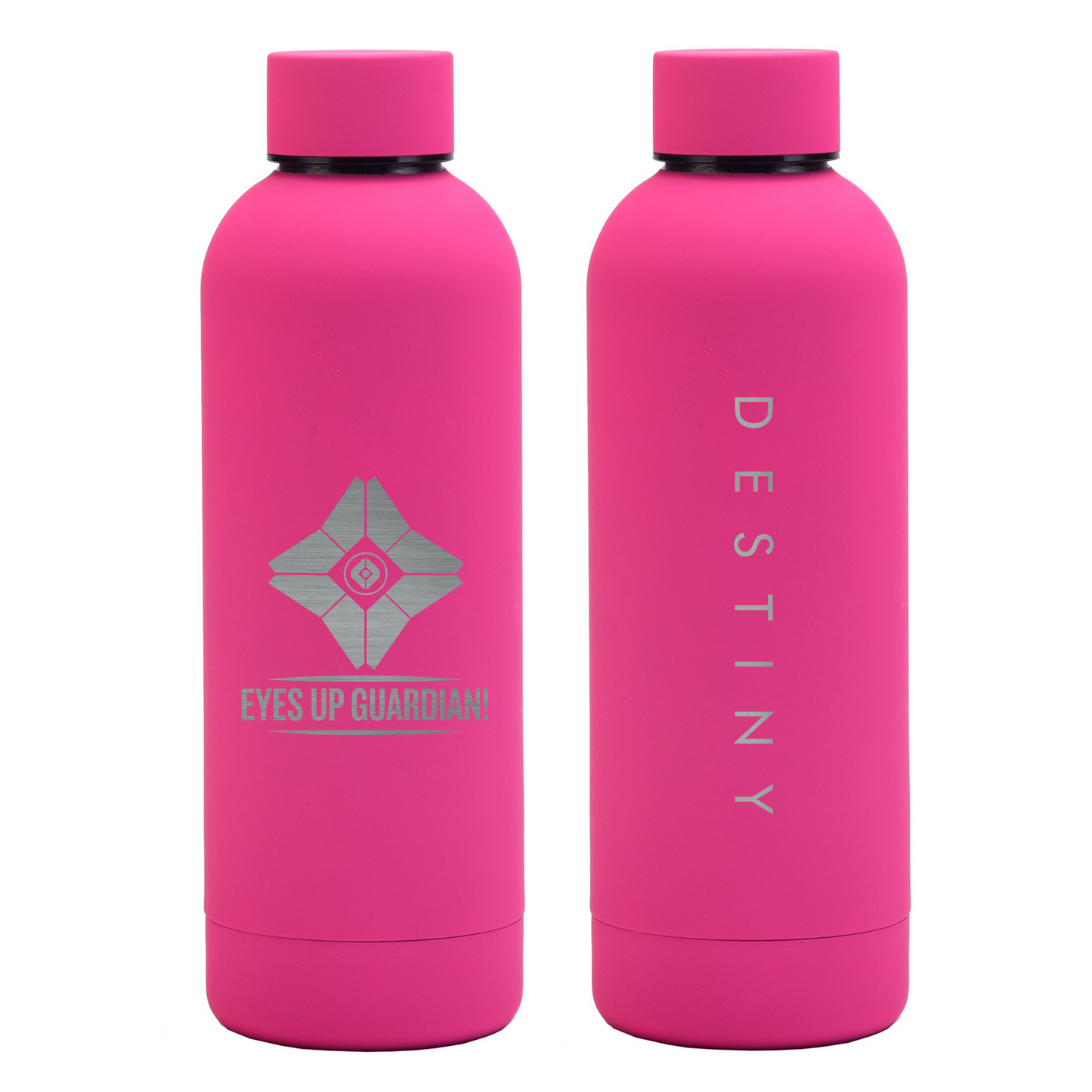 GHOST 500ml Stainless Steel Insulated Bottle | DESTINY